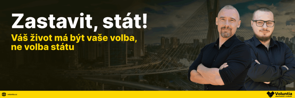 Zastavit stát